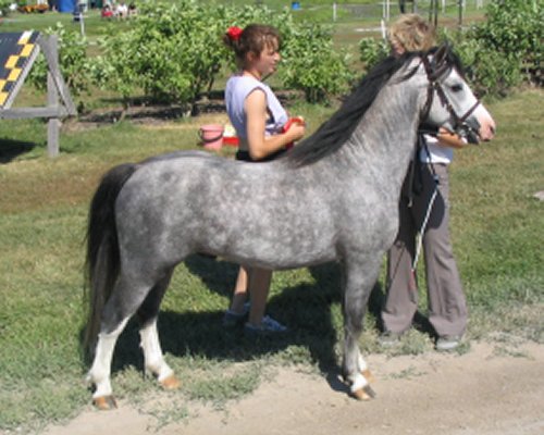 klasu5.jpg (50304 bytes)
