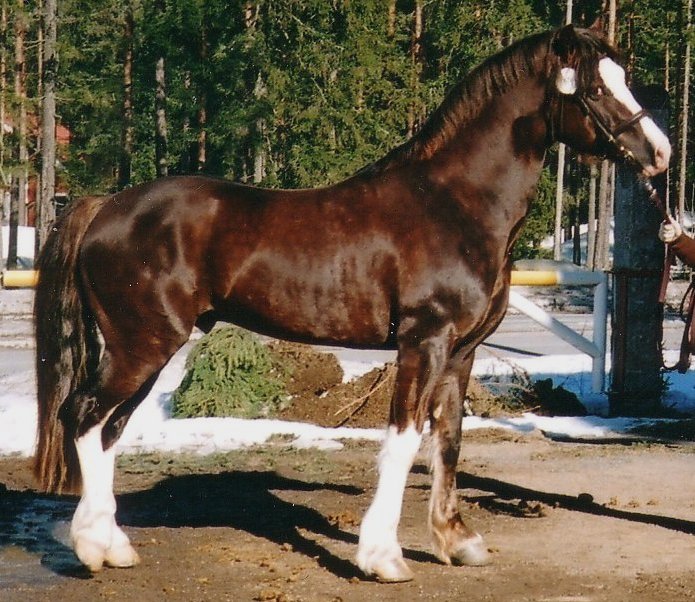 prinssi3.jpg (124890 bytes)