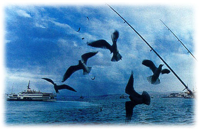 Bosphorus