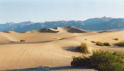 Sand dunes