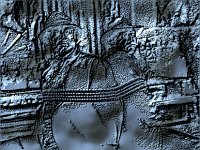 Quiz54.jpg (16904 bytes)
