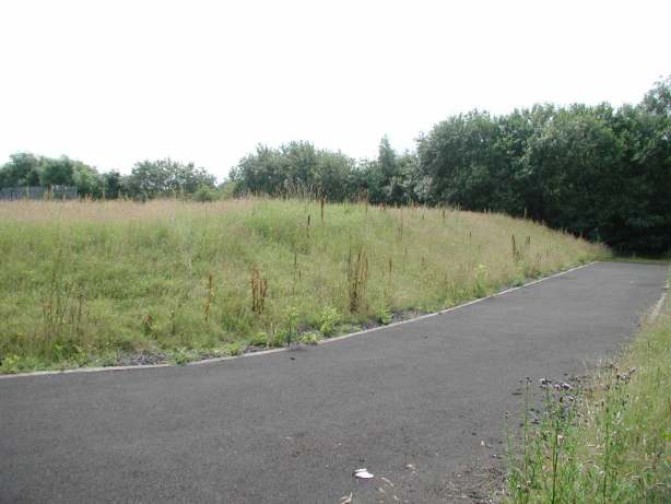 First meadow, showing 'dead-end' railway access road