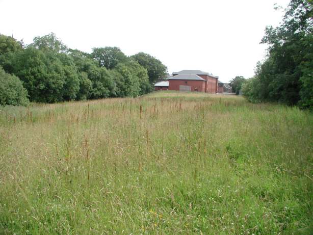 Second meadow, looking eastwards back towards the school
