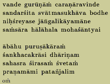 Patanjali didn't write the Karma Sutras