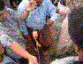 Observing Geophones