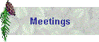 Meetings
