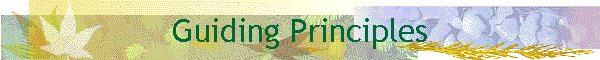 Guiding Principles