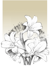 Local protocols for Immediate removal of human remains pending final burial arrangements