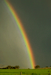 Faith links - De Colores, Chamberlayne Baptist Church, and Christian Resources