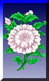lotus.jpg (7642 bytes)