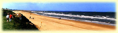 Courtown's beach