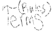 site terms