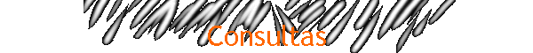 Consultas