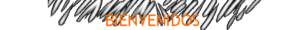 BIENVENIDOS