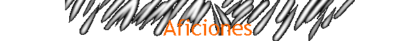Aficiones