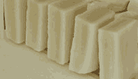 �O���[�v�V�[�h�I�C���Ό�