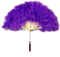 Feather Fans