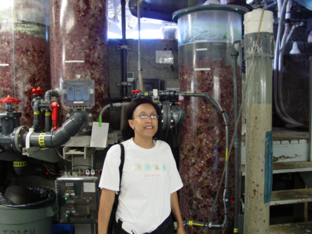 Laurie standing next to calcium reactors and skimmer for Pacific Reef