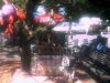 Under the trees at Carrara Market in Queensland