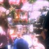 Carrara Markets in Queensland