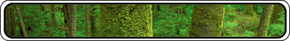 Adbusters Banner