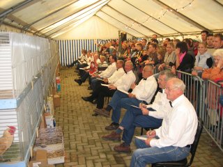 2003voltalligejury.jpg