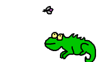 CHAMELEON!!!!