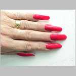 15__022_Fuchsia30.jpg