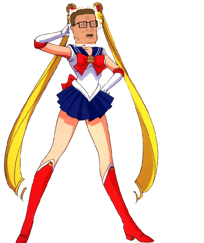 hank + sailor moon