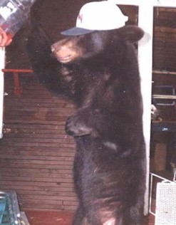 Amos Parker from New Mexico (In Memorium)
</center>
<center>
<img src=