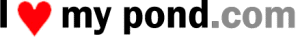Use your browsers BACK button to return