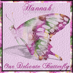 Delicate