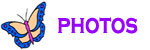 Photo Gallery