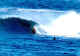 bodyboardbz.jpg (63511 bytes)