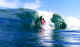 shore.jpg (43354 bytes)