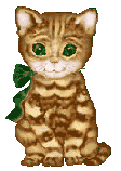 Gatinho.gif (17988 bytes)
