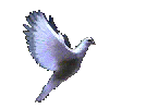 Pombapaz.gif (38556 bytes)