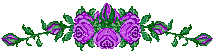 purpani1.gif (4384 bytes)