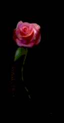ror.gif (2913 bytes)
