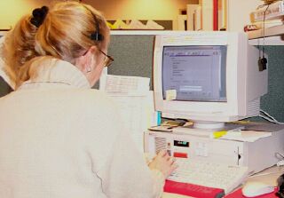 The Telephone Triage Call Center Environment