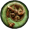 takes you to a thumbs gallery with Pictures and Information on Stereophotography