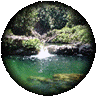 takes you to a thumbs gallery of Scenery Pictures of North Queensland