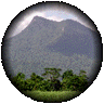 takes you to Magic Mossman Images and Information