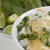 food picture