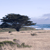 landscape picture