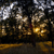 landscape picture