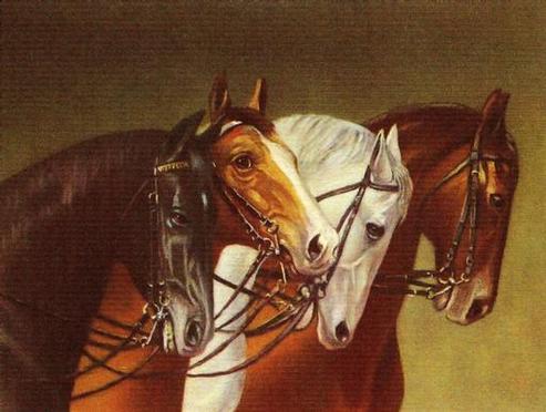 section chevaux