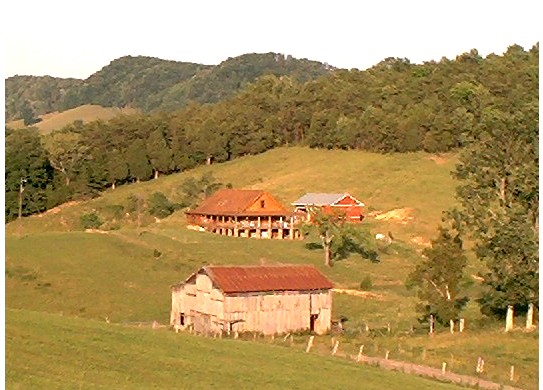 Our Farm