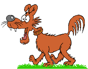 Offleash play makes for happy dogs; happier dogs are better-behaved dogs