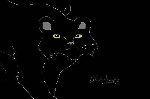 Panther Face